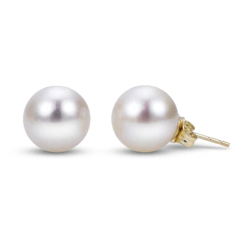 Freshwater Pearl Stud Earrings | 14kt