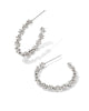 Nydia Hoop Earring